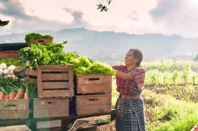 Grow-Food-not-Tobacco_2-629x419.jpg